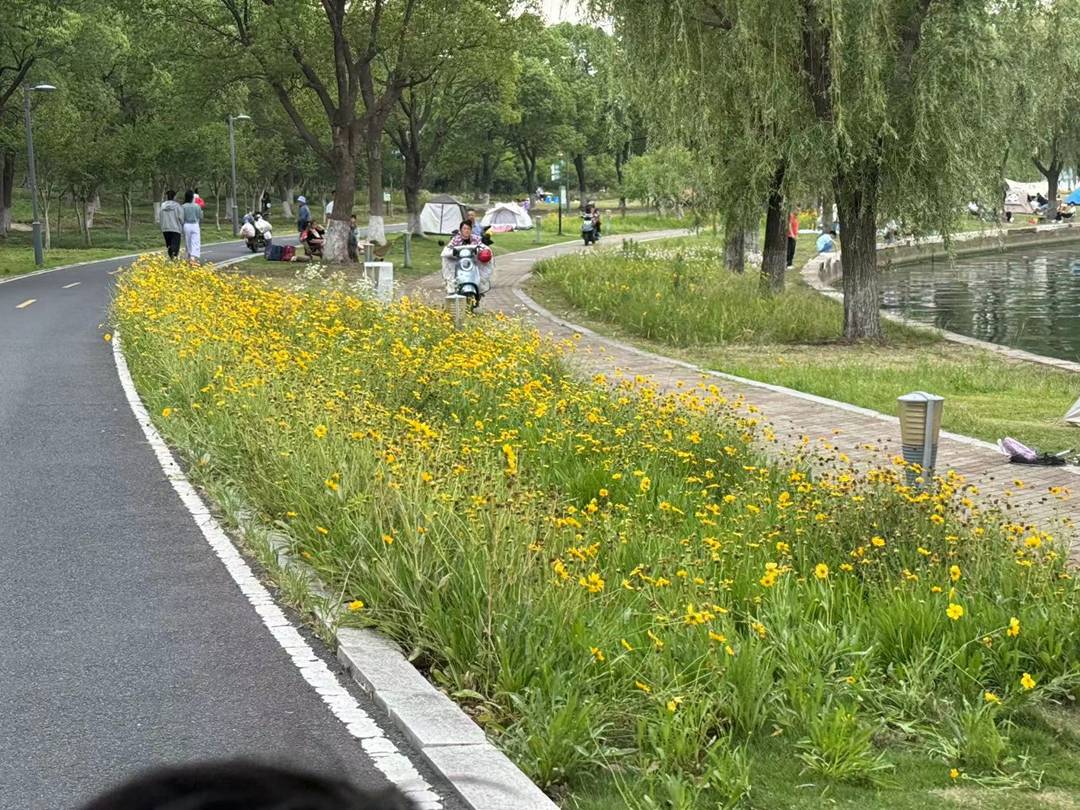 陽澄湖景點