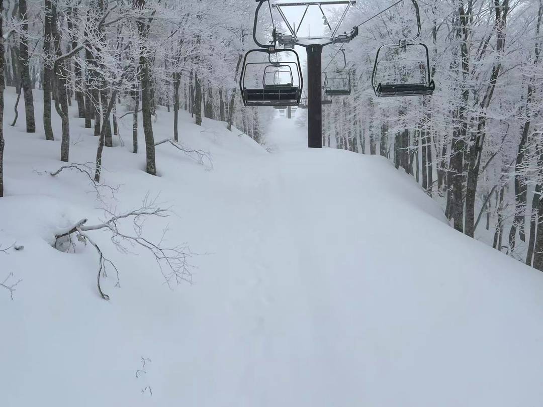 藏王滑雪場 藏王滑雪場