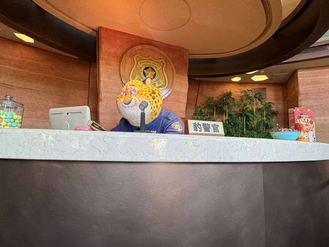 上海迪士尼 上海迪士尼