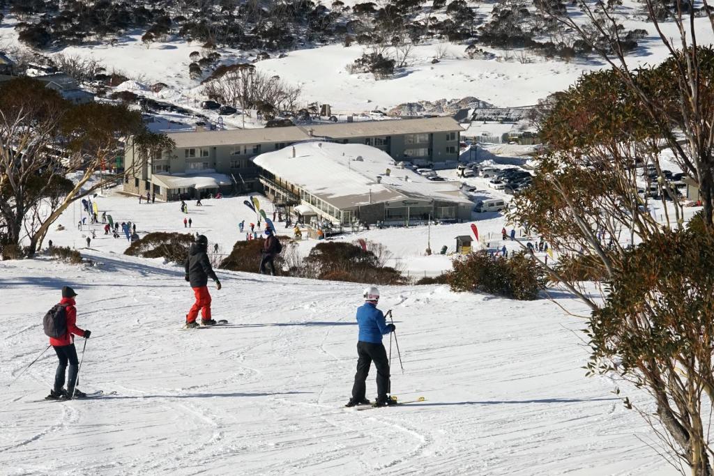 澳洲滑雪 澳洲滑雪