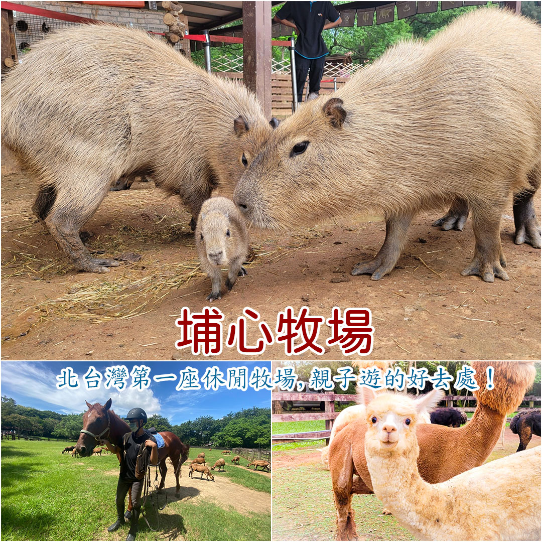 桃園景點