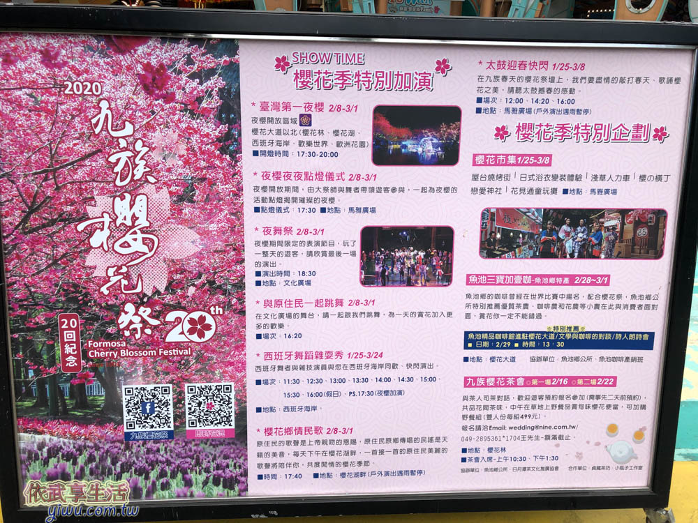 九族櫻花祭-夜櫻