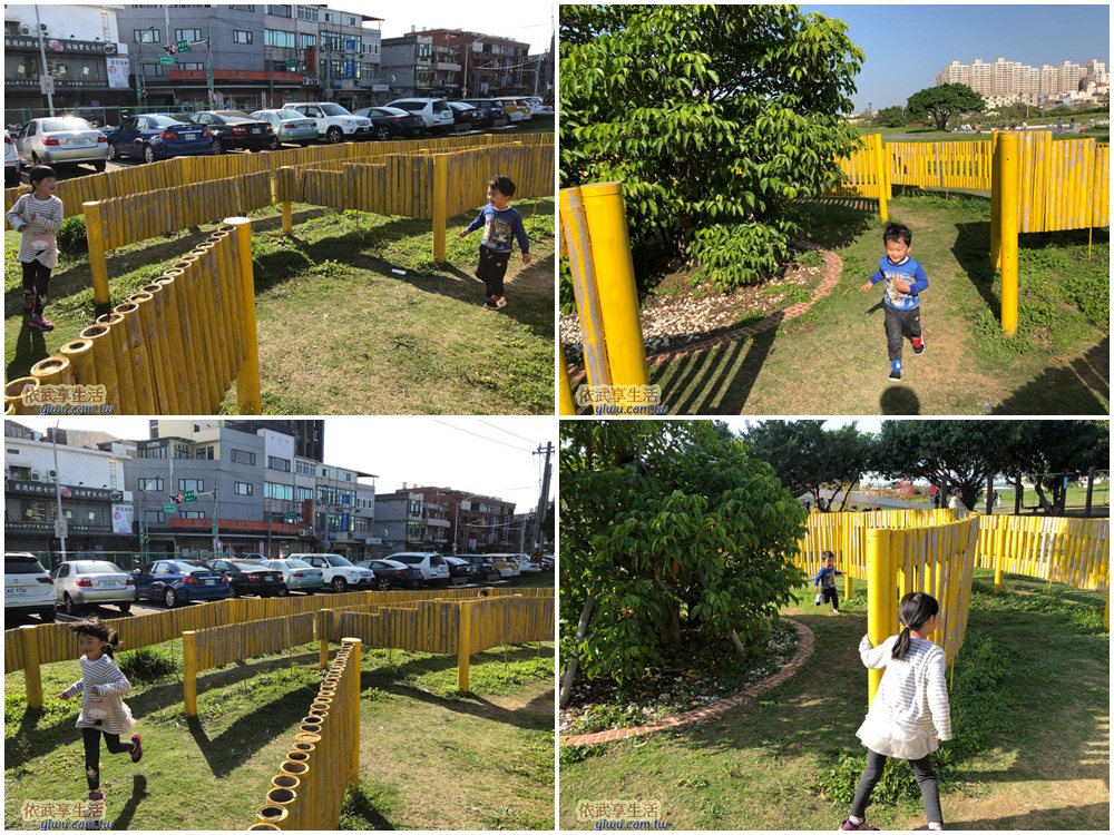 新竹樹林頭公園大型迷宮