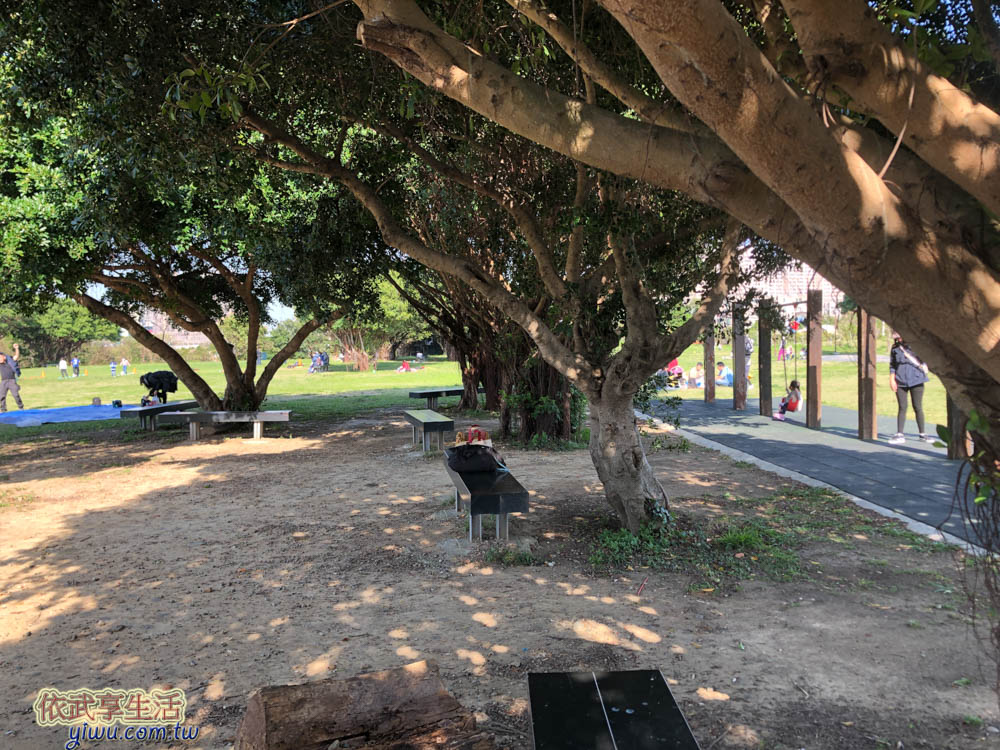 新竹樹林頭公園