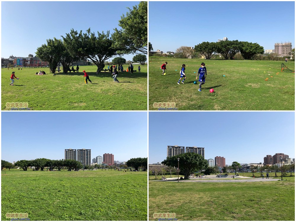 新竹樹林頭公園大草皮