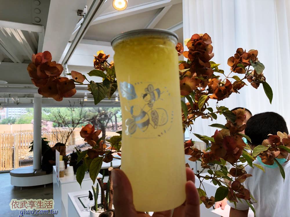 新竹森林食堂