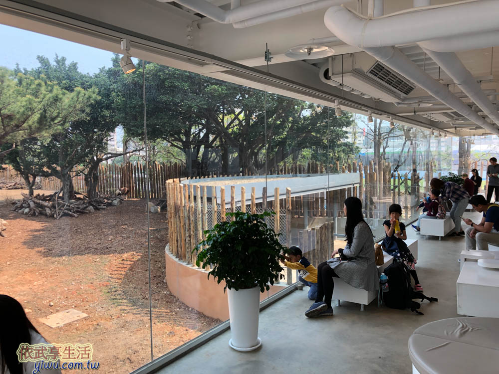 新竹森林食堂