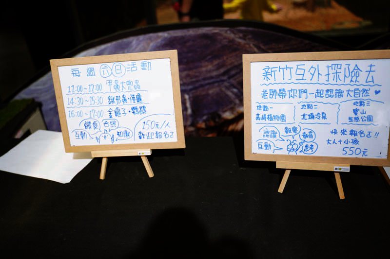 新竹台灣昆蟲館探索動物課程