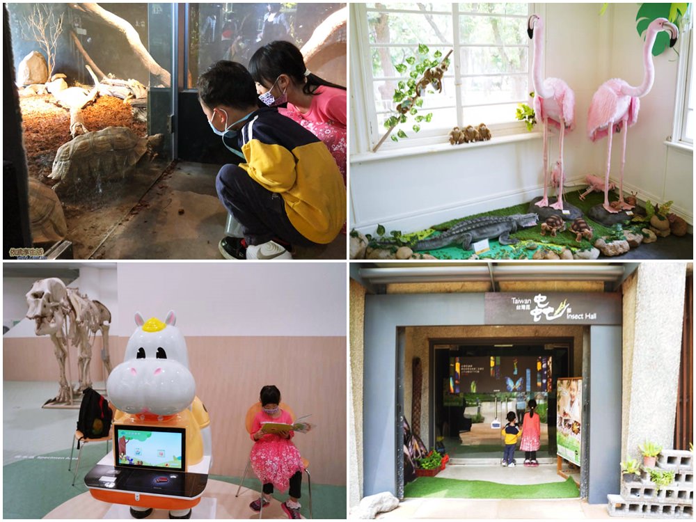 動物園圖書館 新竹昆蟲館 小兒子氣象站