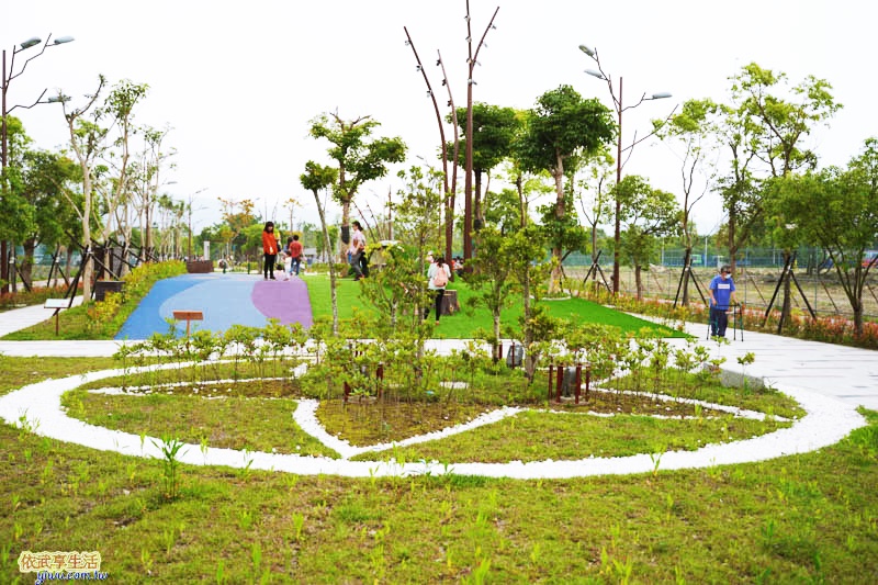 新竹竹東台泥公園藝術花廊