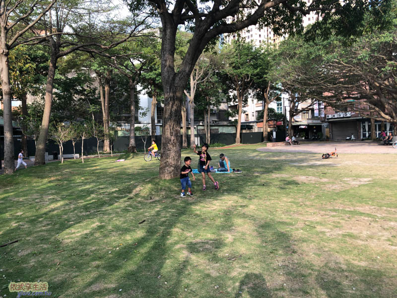 長和公園大草皮