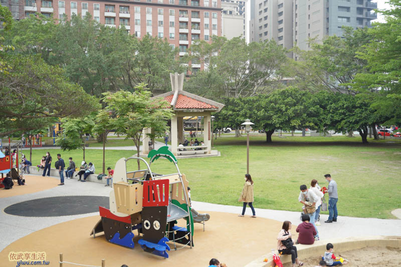 中央公園草皮