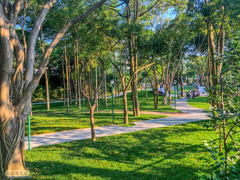 新竹明湖公園草地