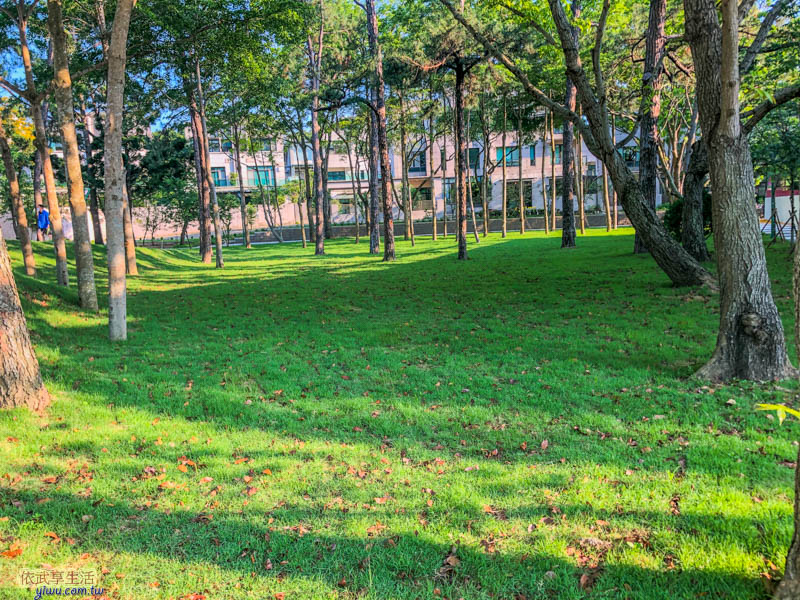 新竹明湖公園草地