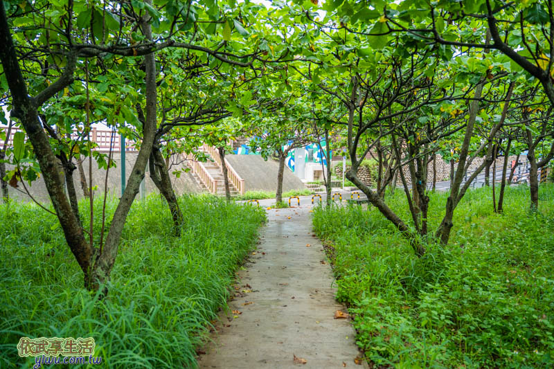 香山濕地賞蟹步道綠色小徑