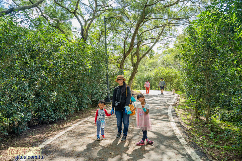青青草原步道
