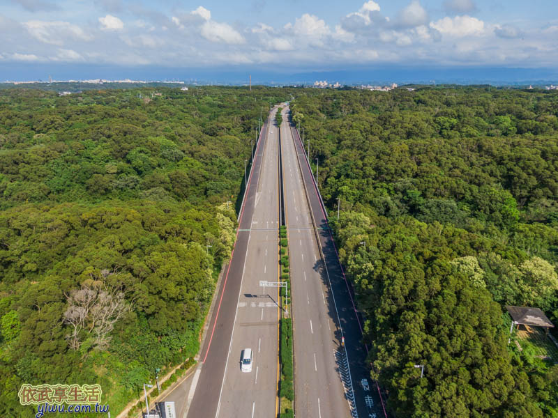 香山茄冬景觀大道