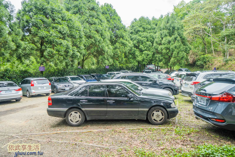 尖石薰衣草森林停車場