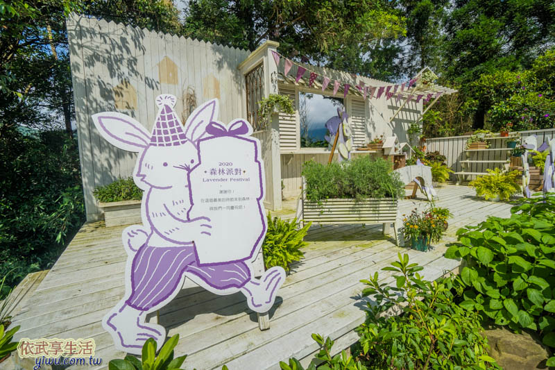 尖石薰衣草森林