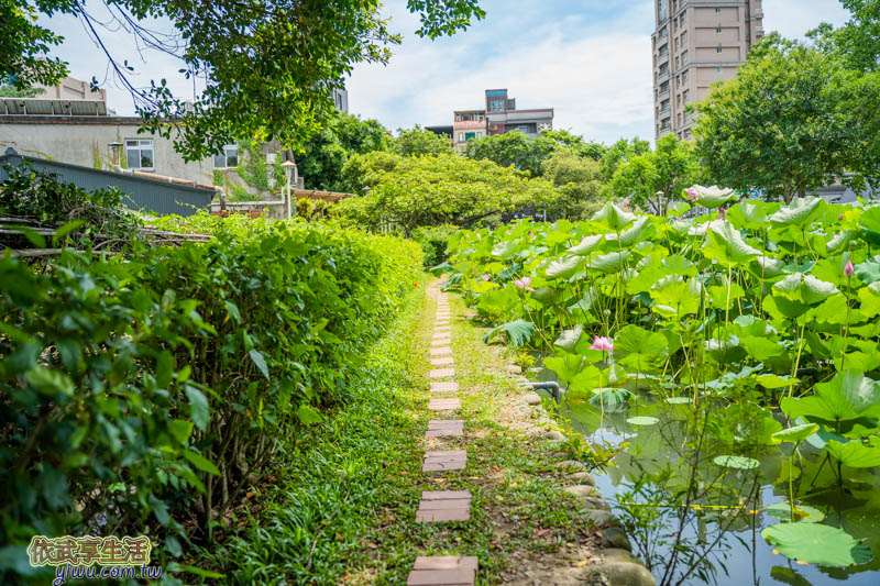 新瓦屋客家文化保存區生態池賞荷
