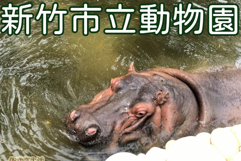 〔新竹親子景點〕十八尖山爬山趣~20分鐘即可攻頂，新竹運動休閒的好去處！(含路線圖/停車 / 交通資訊)