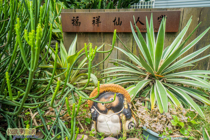 福祥仙人掌