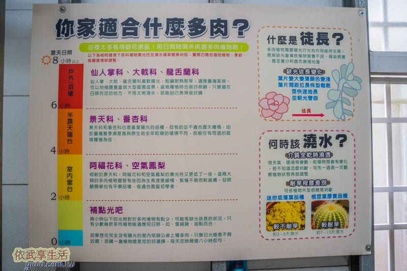 福祥仙人掌