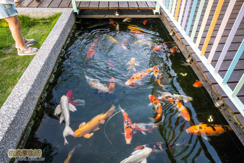 卡菲努努明星店