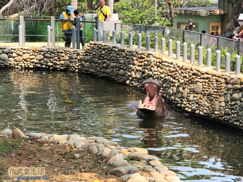 新竹市立動物園