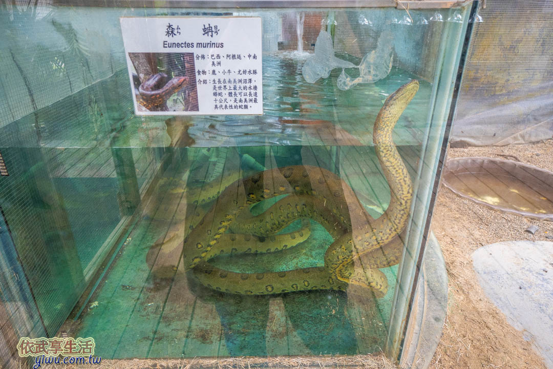 綠世界生態農場
