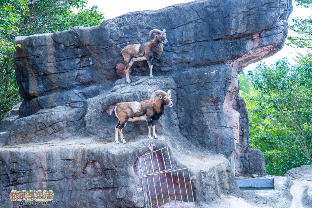 六福村