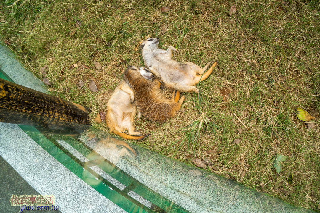 六福村