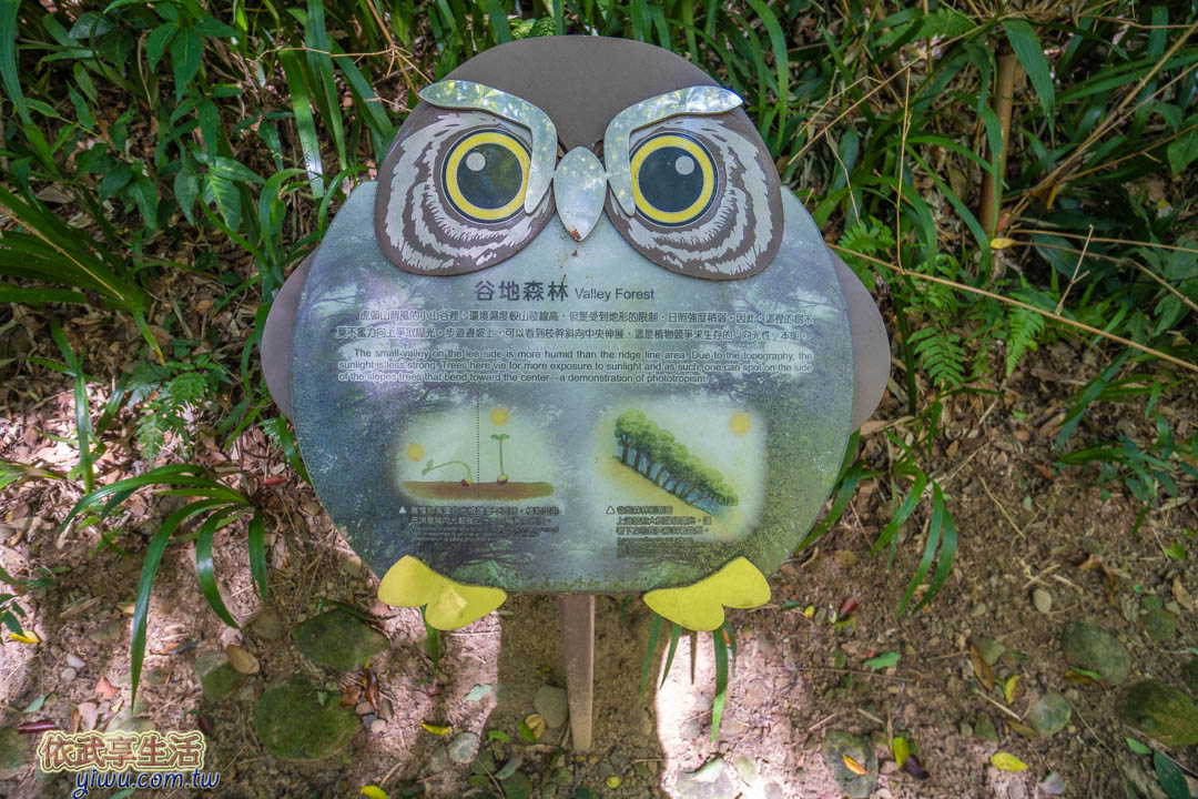 虎頭山公園