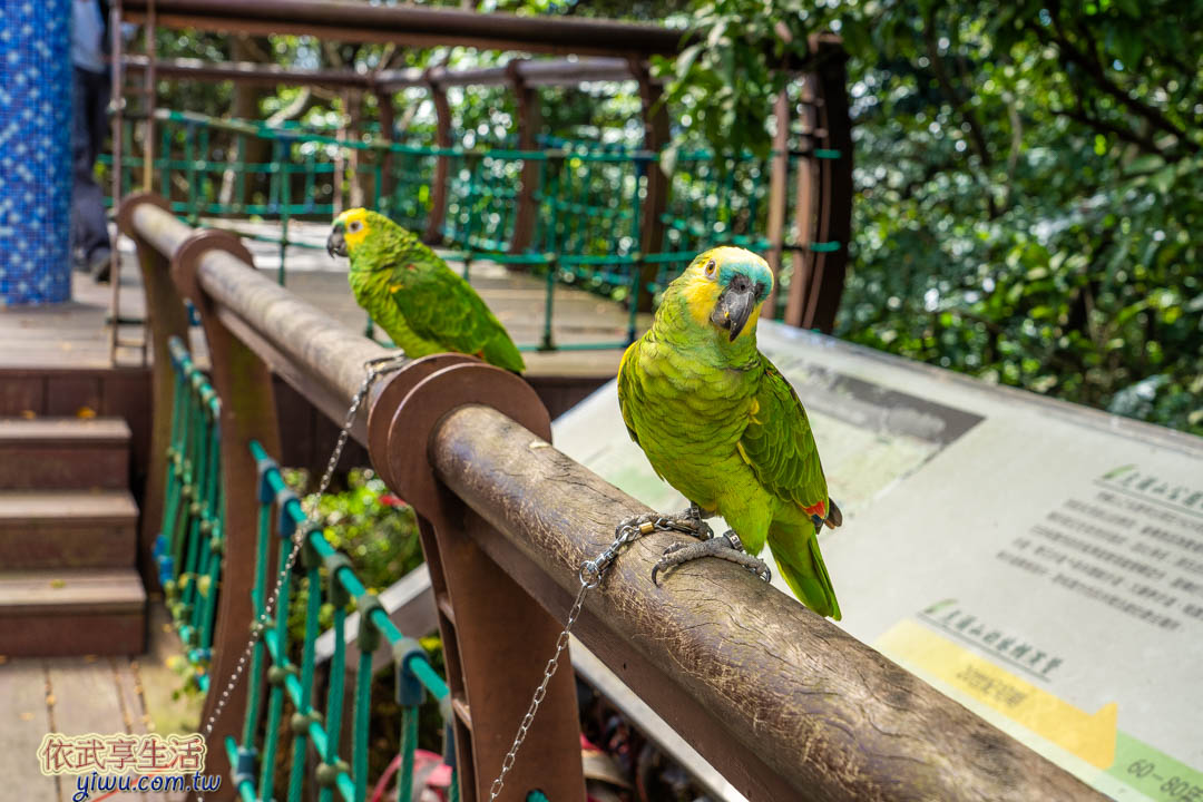 虎頭山公園