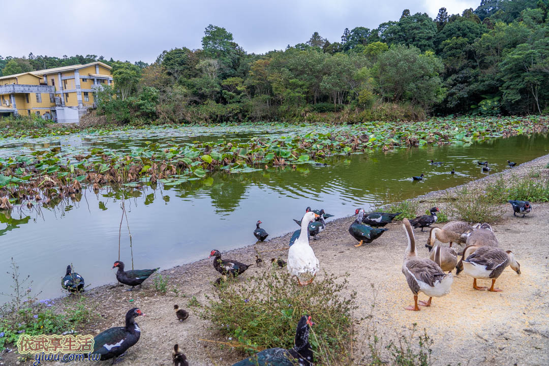 向天湖