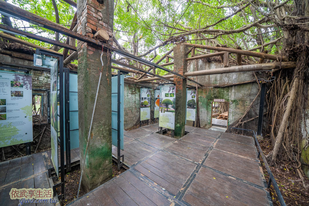 安平樹屋