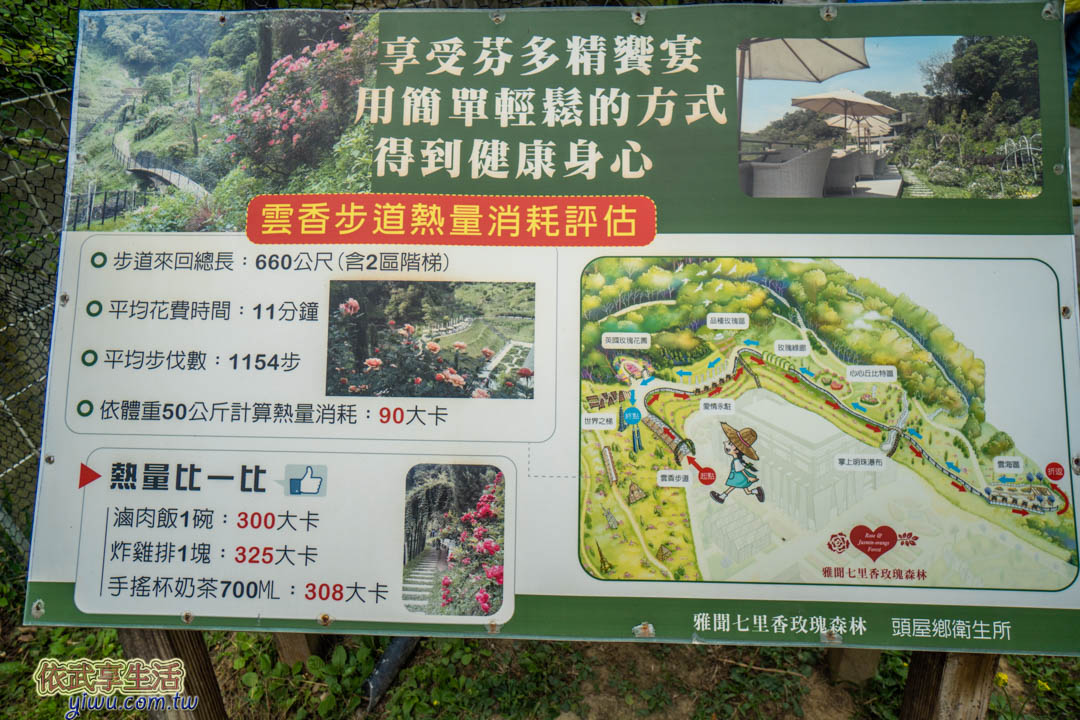雅聞七里香玫瑰森林