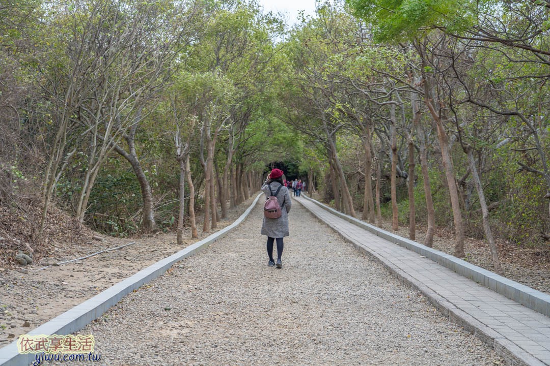 崎頂子母隧道