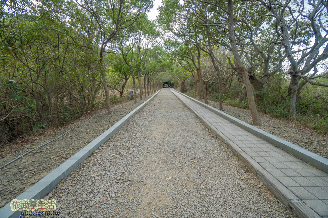 崎頂子母隧道