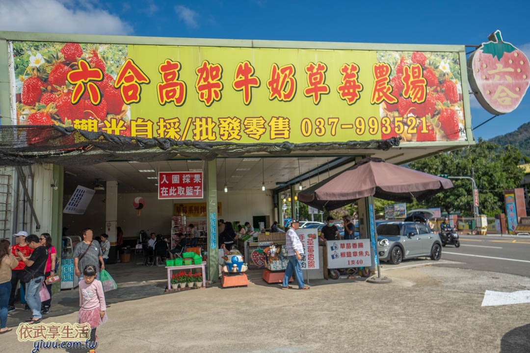 大湖草莓