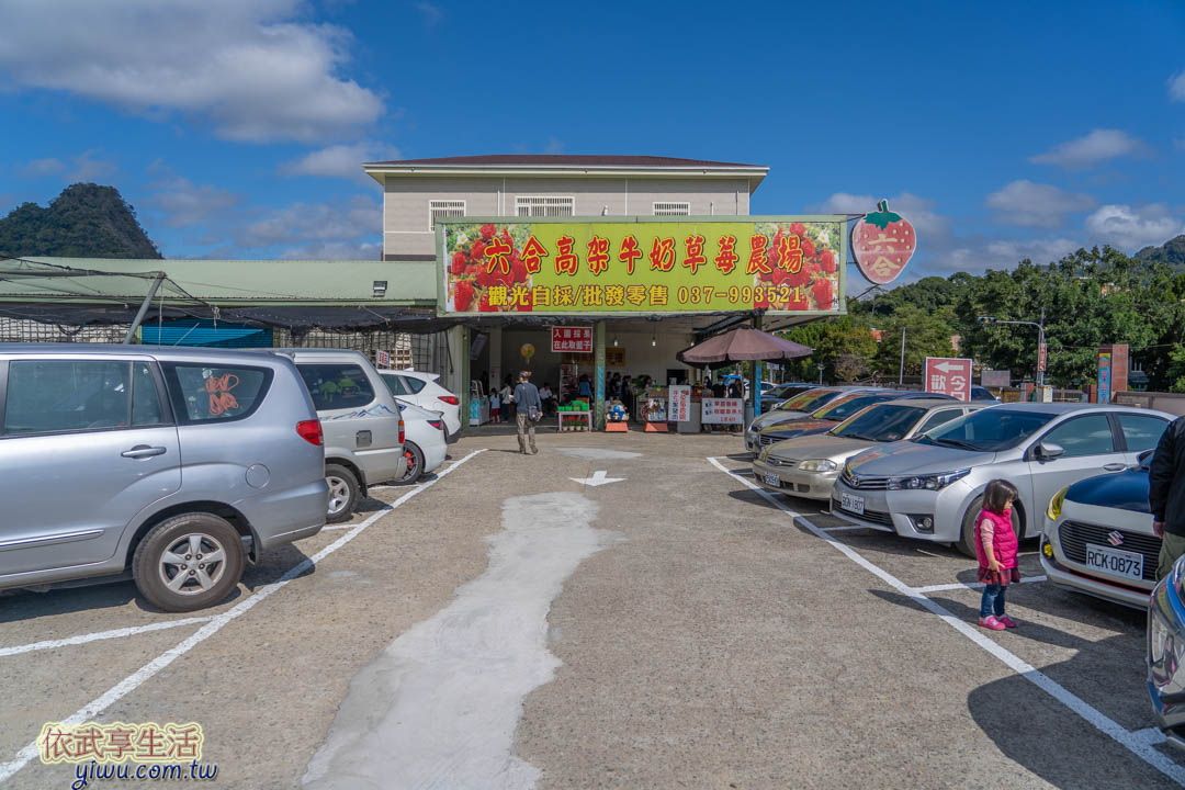 大湖草莓