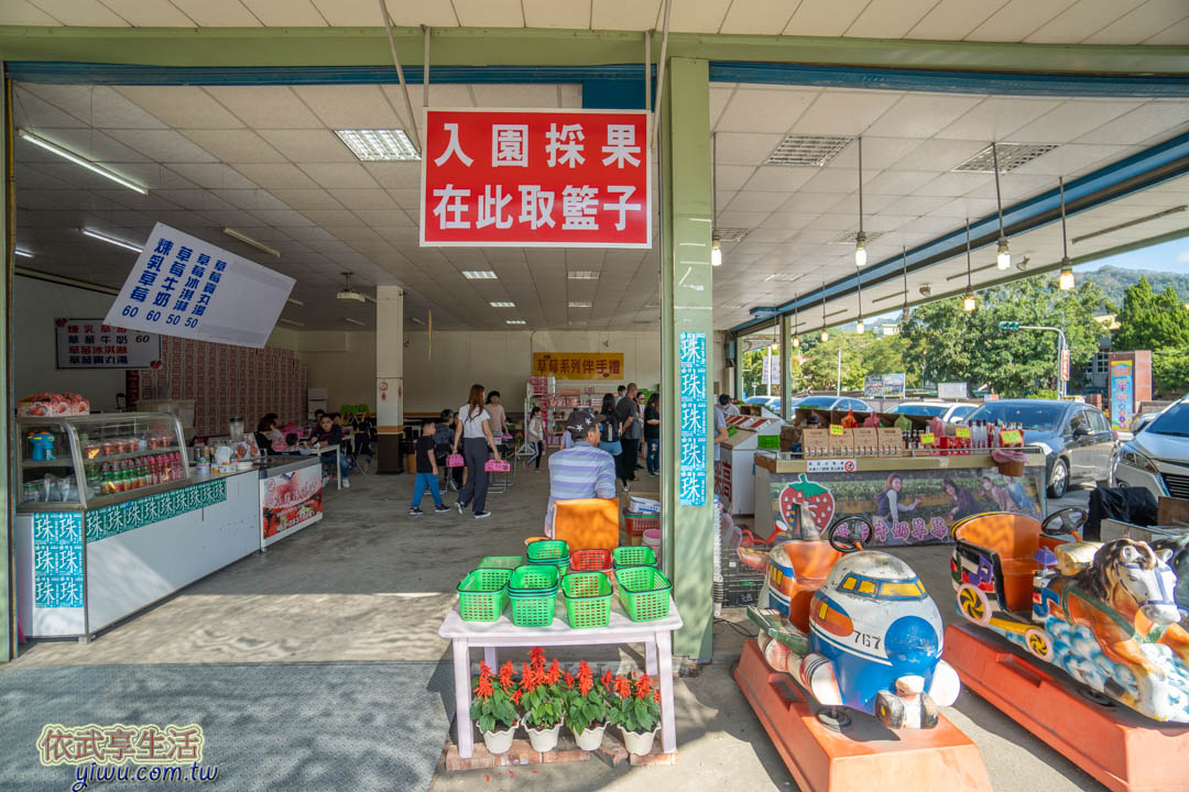 大湖草莓