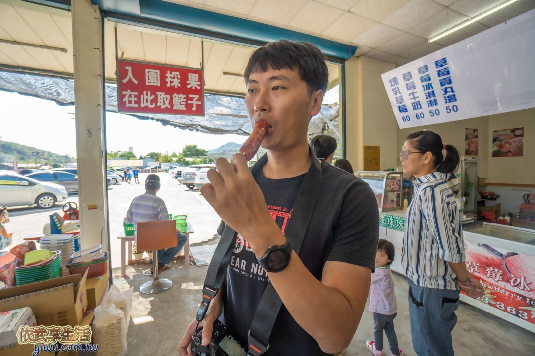 大湖草莓
