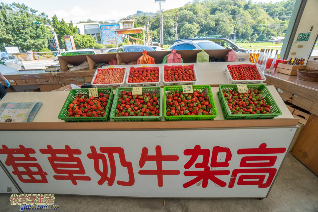 大湖草莓