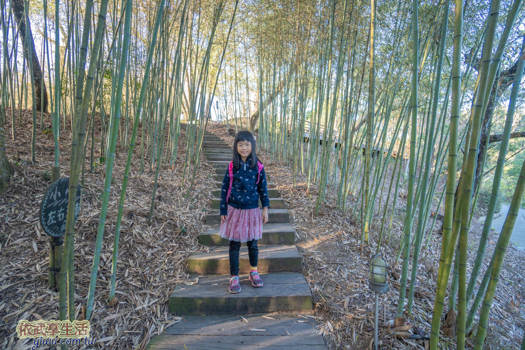 天空之城竹林步道