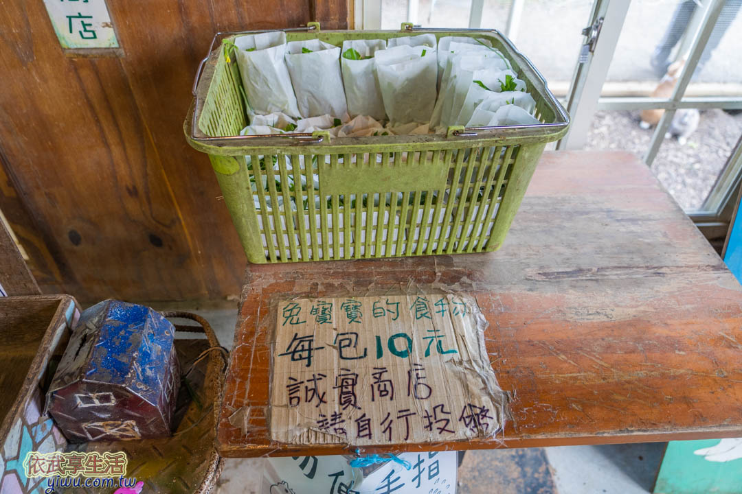 飛牛牧場