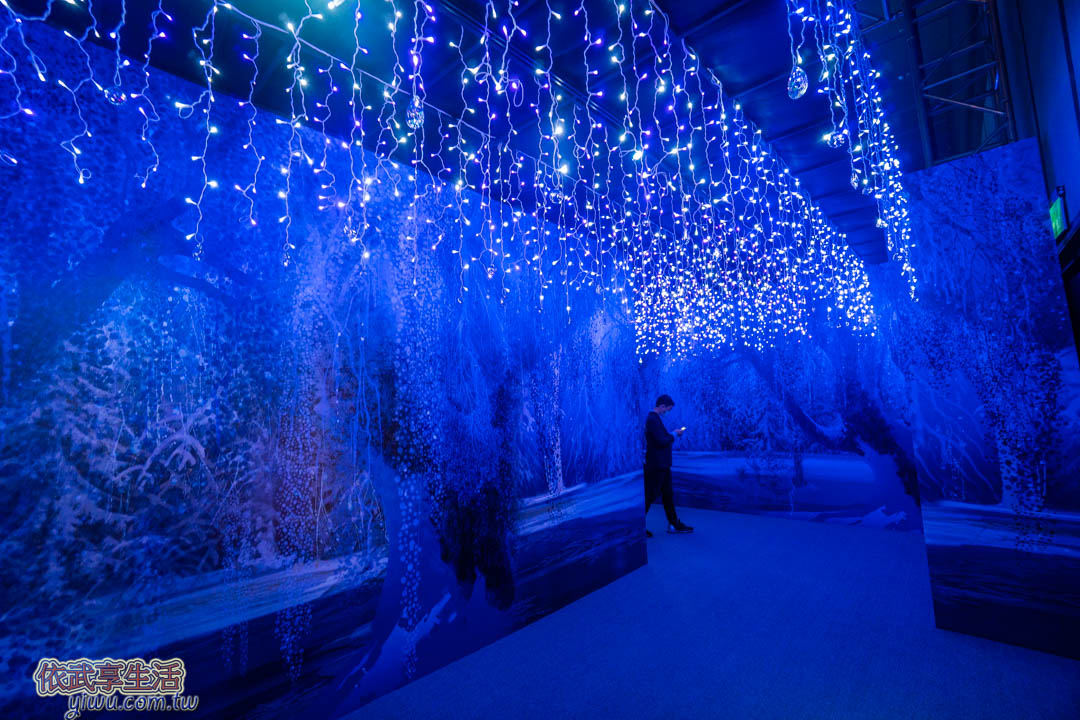 冰雪奇緣夢幻特展