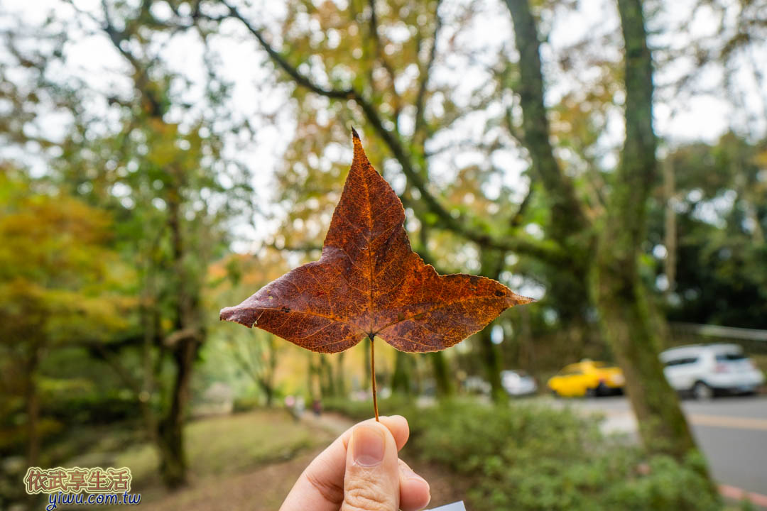 石門水庫溪洲公園