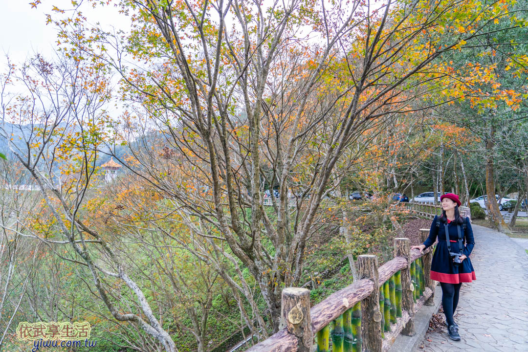 石門水庫楓林步道