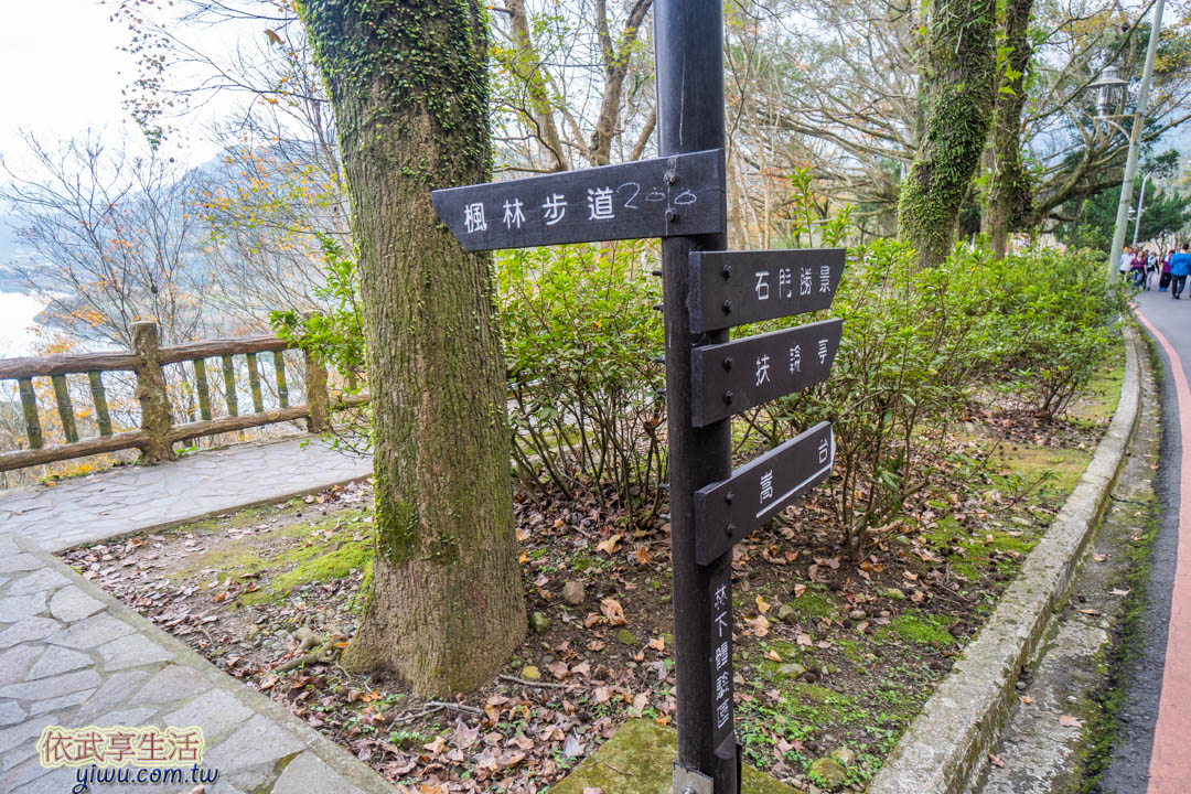 石門水庫楓林步道